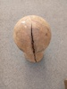 45189j_8dde9efede96e4a_sm.jpeg