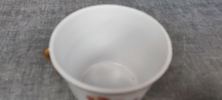 45197j_8dde9fe98671f96_sm.jpeg