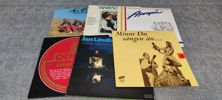 Diverse. Bl.a Vinylskivor, stenkakor m.m.