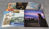 Diverse. Bl.a Vinylskivor, stenkakor m.m.