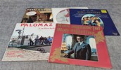 Diverse. Bl.a Vinylskivor, stenkakor m.m.