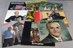 Diverse vinylskivor.