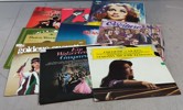 Diverse vinylskivor.
