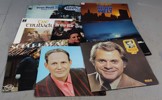 Diverse vinylskivor.
