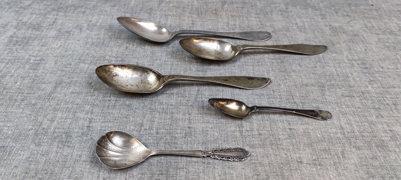 5 Skedar. Silver. 222gram.