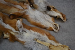 3 Rävskinn & 2 rävsvansar.