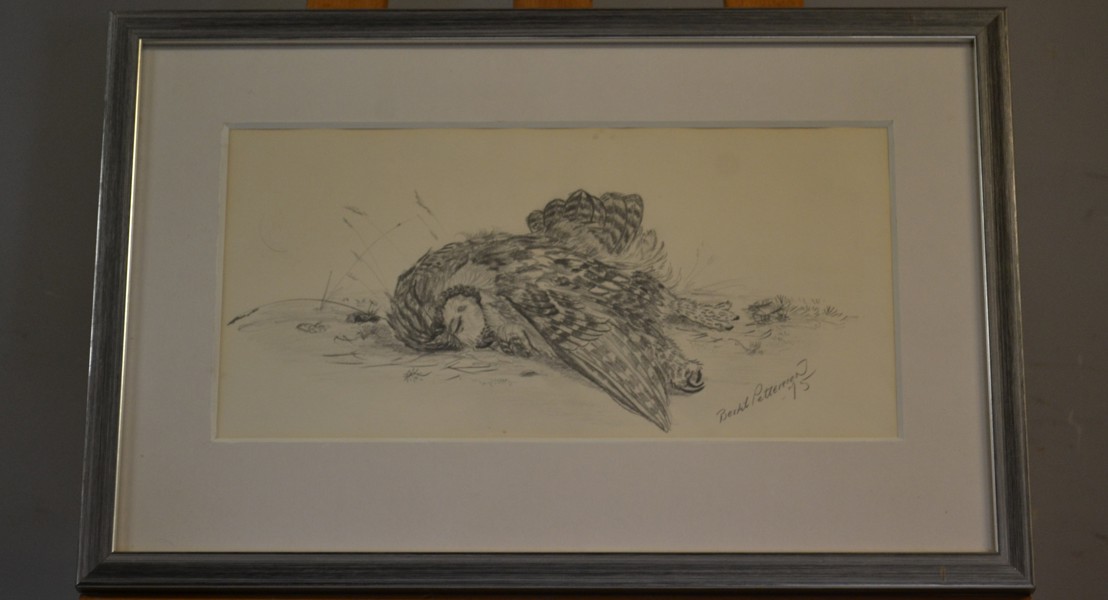 BERTIL PETTERSSON. Blyertsteckning, signerad & daterad -75.