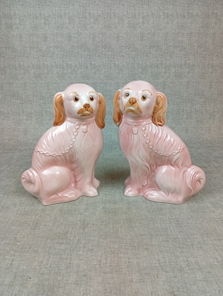 Par hundar / Hemvändarehundar. Portugal.