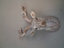 Diverse porslin & keramik.