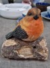Diverse porslin & keramik.