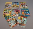 Diverse serietidningar. Uti vår hage, Pondus, Ernie, Knasen, Bizarro. m.fl.