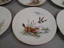 12 Handmålade tallrikar, signerad J.Brødbøk.