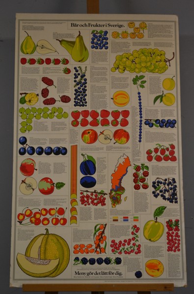 Dubbelsidig affisch. "Bär & frukter i Sverige", 1900-talet.