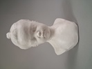 Skulptur. Byst, Gips, osignerad.