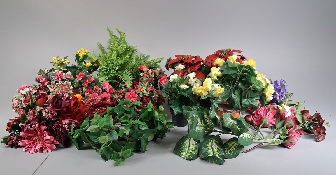 Diverse plastväxter.