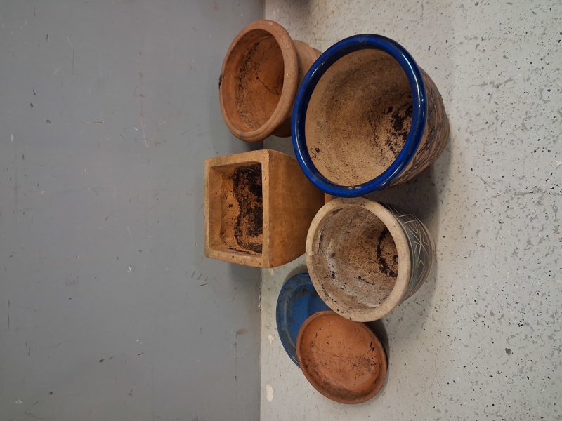 Diverse krukor, utomhus.