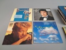 Diverse vinylskivor.
