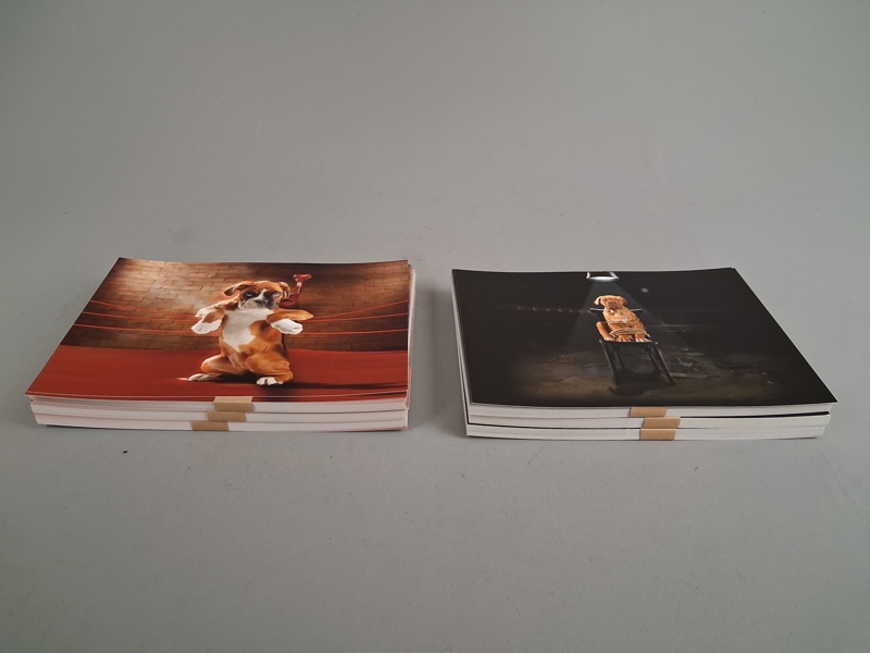 Ca: 144 vykort. A4 Storlek, 2 olika motiv.