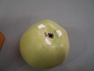 ROSE-MARIE BENGTSSON. Skulptur, "Äpple", keramik, Landskrona.