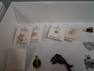 Diverse Pins & Bijouterier.
