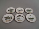 6 Assietter/förrättstallrikar. Colditz. Tyskland. Fiskmotiv.