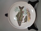 6 Assietter/förrättstallrikar. Colditz. Tyskland. Fiskmotiv.
