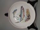 6 Assietter/förrättstallrikar. Colditz. Tyskland. Fiskmotiv.