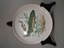 6 Assietter/förrättstallrikar. Colditz. Tyskland. Fiskmotiv.