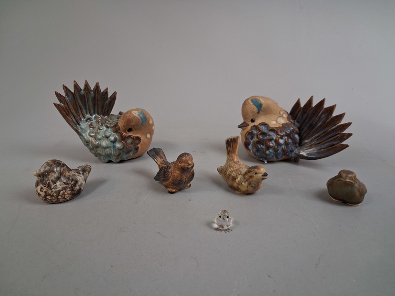 Diverse fåglar. Bl.a Glumslöv.