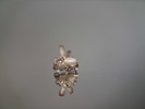 Smycken. Silver, 19,5gram, syratestat.