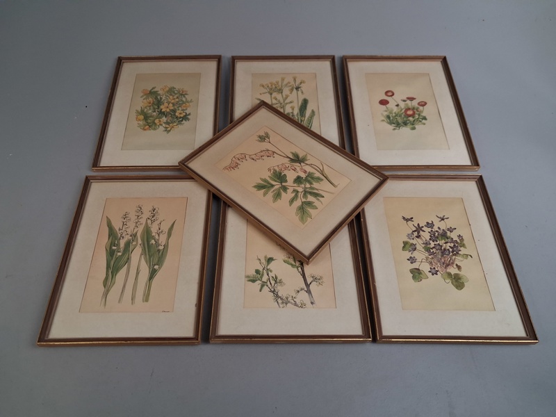 7 Tryck. Botaniska illustrationer.