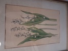 7 Tryck. Botaniska illustrationer.