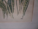 7 Tryck. Botaniska illustrationer.