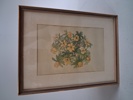 7 Tryck. Botaniska illustrationer.
