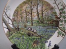 PETER BANETT. 12 Samlartallrikar, Royal Worcester.