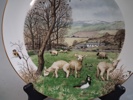 PETER BANETT. 12 Samlartallrikar, Royal Worcester.