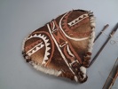 Afrikanskt. Sköld, pilbåge m.m.