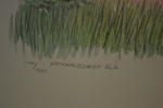 TORBJÖRN SVENSSON. Litografi, "Nationaldjuret Älg", signerad & numrerad 249/390.