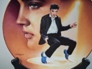 Samlartallrikar. 12st, "Elvis Presley", Delphi. Bradex.