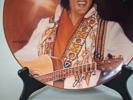 Samlartallrikar. 12st, "Elvis Presley", Delphi. Bradex.