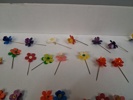Cirka 77 Majblommor.