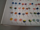 Cirka 77 Majblommor.