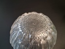 Diverse glas. Kosta, Lydig Waterlily & Kotilasi Linnea.