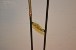 Golvlampa. AB B.E.A, Nr 116, 1950/60-talet.