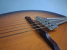 HERMAN CARLSSON LEVIN. Akustisk gitarr, Göteborg, Nr 30222, modell 28.