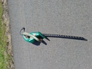 Häcksax. Black & Decker.