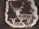 Diverse glas. Glasskulpturer. Bl.a Mats Jonasson m.m.
