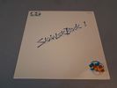 Vinylskivor, LP, Singlar, stenkakor.
