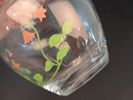 Diverse glas. Bl.a Iittala, Jackie Lynd m.m.