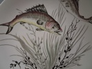 4 Mattallrikar. "Fish". Johnson Bros. Design 2, 3, 4 & 7.